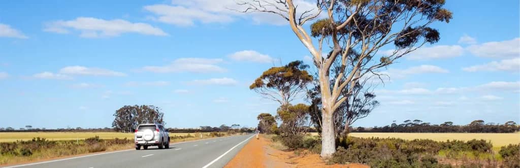 Safe Driving Tips For The Festive Season